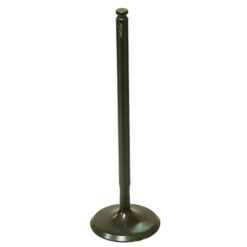 PSYCHIC INTAKE VALVE R/T