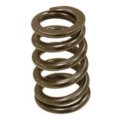 PSYCHIC EXHAUST VALVE SPRING
