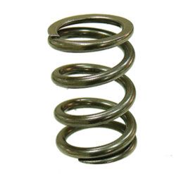 PSYCHIC EXHAUST VALVE SPRING