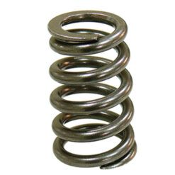 PSYCHIC INTAKE VALVE SPRING
