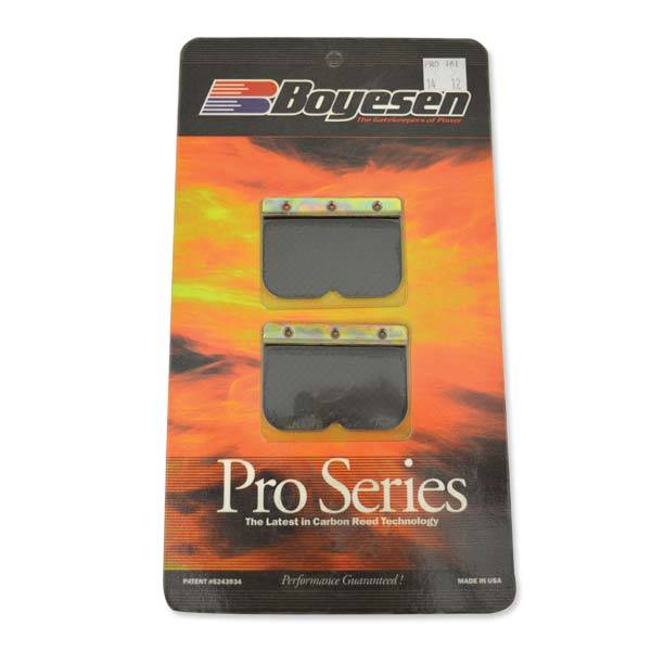 BOYESEN RAD VALVE REP REED