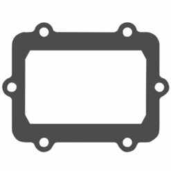REED VALVE GASKET V-FORCE CAT