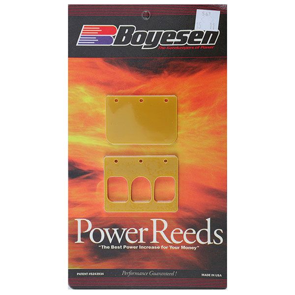 BOYESEN REEDS A/C 800TWIN 2001