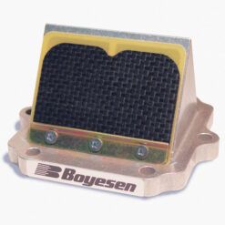 BOYESEN RAD VALVE A/C TWIN 600