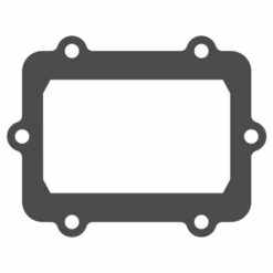REED VALVE GASKET V-FORCE DOO