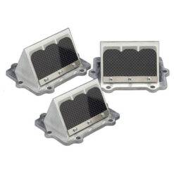 BOYESEN RAD VALVE POL TRIPLE