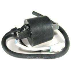 COIL ARCTIC CAT 800/1000 EFI