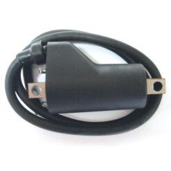 COIL EXT IGN 600 800 TRIP. (1)