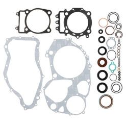 COMPLETE GASKET KT W/OIL SEALS