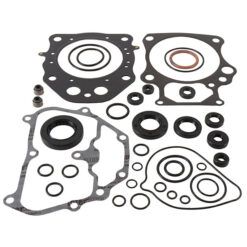 COMPLETE GASKET KT W/OIL SEALS