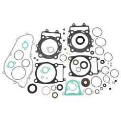 COMPLETE GASKET KT W/OIL SEALS