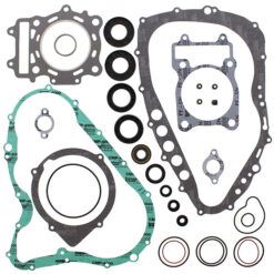 COMPLETE GASKET KT W/OIL SEALS