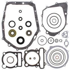 COMPLETE GASKET KT W/OIL SEALS