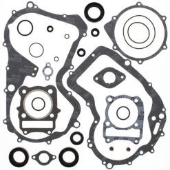 COMPLETE GASKET KT W/OIL SEALS