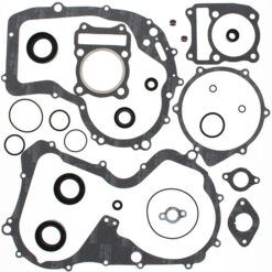 COMPLETE GASKET KT W/OIL SEALS