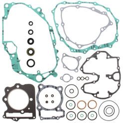 COMPLETE GASKET KT W/OIL SEALS