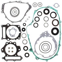 COMPLETE GASKET KT W/OIL SEALS