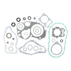 COMPLETE GASKET KT W/OIL SEALS
