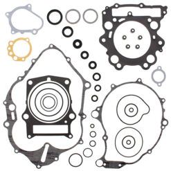 COMPLETE GASKET KT W/OIL SEALS