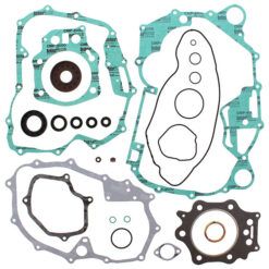 COMPLETE GASKET KT W/OIL SEALS