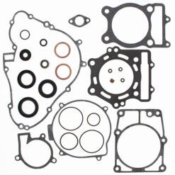 COMPLETE GASKET KT W/OIL SEALS