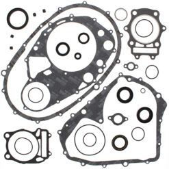 COMPLETE GASKET KT W/OIL SEALS