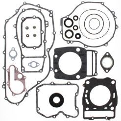 COMPLETE GASKET KT W/OIL SEALS