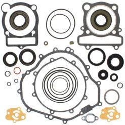 COMPLETE GASKET KT W/OIL SEALS