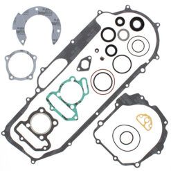 COMPLETE GASKET KT W/OIL SEALS