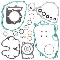 COMPLETE GASKET KT W/OIL SEALS