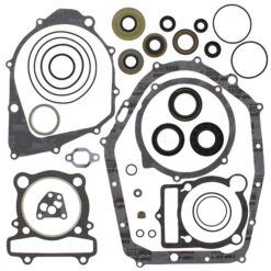 COMPLETE GASKET KT W/OIL SEALS