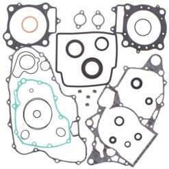 COMPLETE GASKET KT W/OIL SEALS