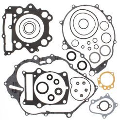COMPLETE GASKET KT W/OIL SEALS