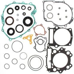 COMPLETE GASKET KT W/OIL SEALS