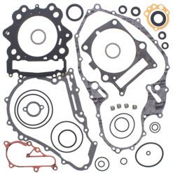 COMPLETE GASKET KT W/OIL SEALS