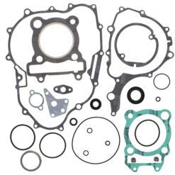 COMPLETE GASKET KT W/OIL SEALS