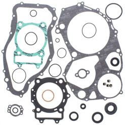 COMPLETE GASKET KT W/OIL SEALS