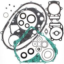 COMPLETE GASKET KT W/OIL SEALS