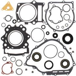 COMPLETE GASKET KT W/OIL SEALS
