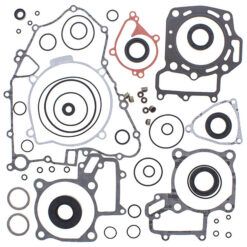 COMPLETE GASKET KT W/OIL SEALS