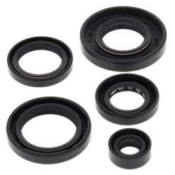 VERTEX ENGINE OIL SEAL KIT