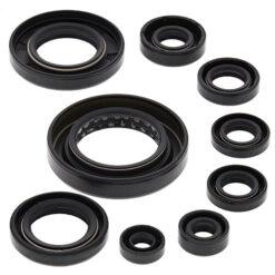 VERTEX ENGINE OIL SEAL KIT