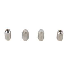 ALL BALLS WHEEL NUT KIT