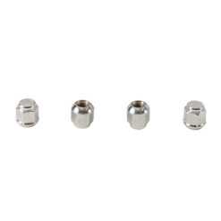 ALL BALLS WHEEL NUT KIT FT