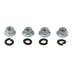 ALL BALLS WHEEL NUT KIT FT
