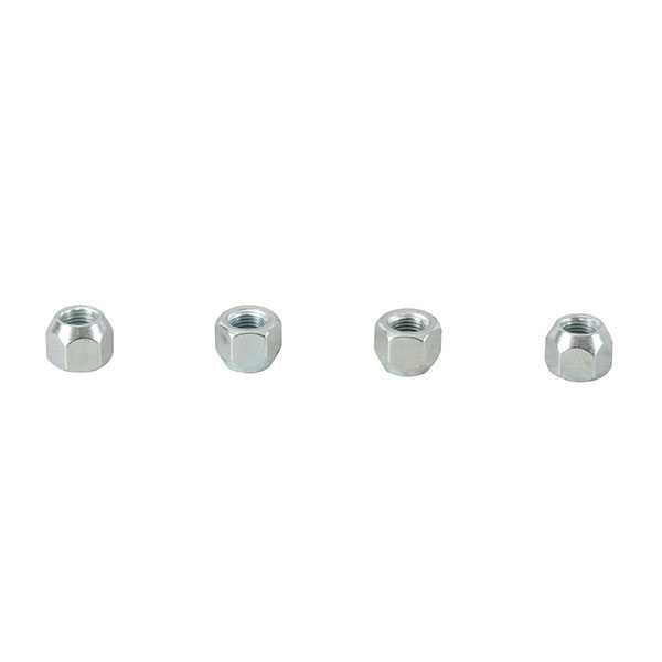 ALL BALLS WHEEL NUT KIT
