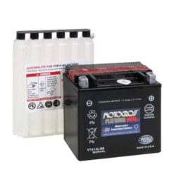 BATTERY MOTOXP YTX14L-BS