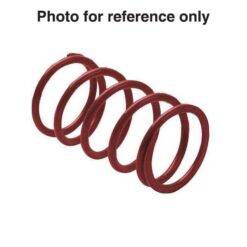 KAWASAKI CLUTCH SPRING ALMOND