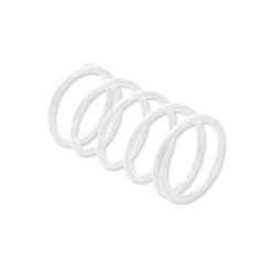 CLUTCH SPRINGS POLARIS WHITE