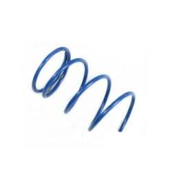CAN-AM CLUTCH SPRING BLUE
